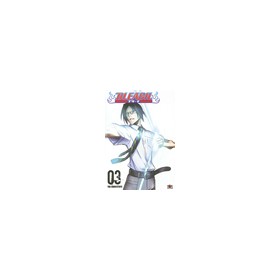 Bleach Vol 3 The Substitute