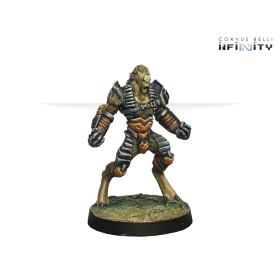 Infinity - Tohaa Support Pack