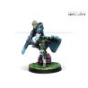 Infinity - Taagma Schemers (Viral Sniper Rifle)