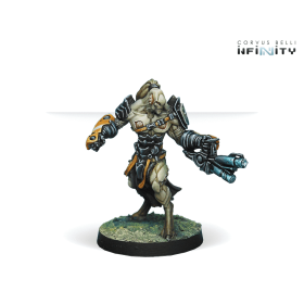 Infinity - Rasail Boarding Team