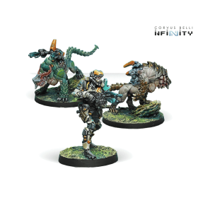 Infinity - Kerail Preceptors
