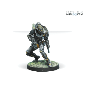 Infinity - Igao Unit (DA CCW)