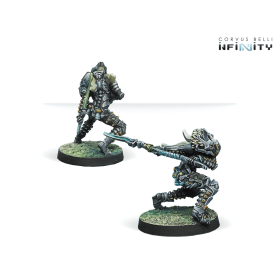 Infinity - Igao Unit (DA CCW)