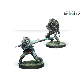 Infinity - Igao Unit (DA CCW)