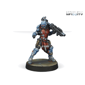 Infinity - Order Sergeants
