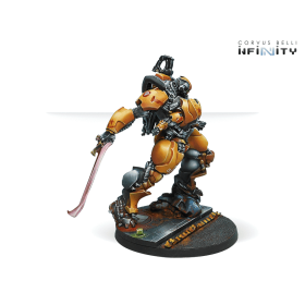 Infinity - G?iji? Squadrons