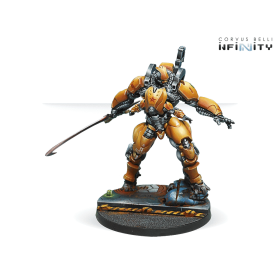 Infinity - G?iji? Squadrons