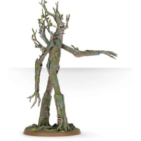 ME SBG: ENT