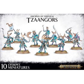 TZEENTCH ARCANITES TZAANGORS