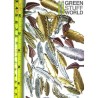 perles PLUME Set 85gr