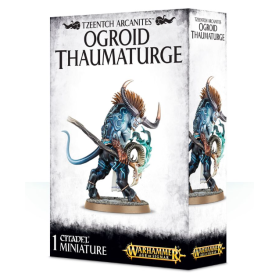 Ogroid Thaumaturge