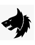 Space Wolves